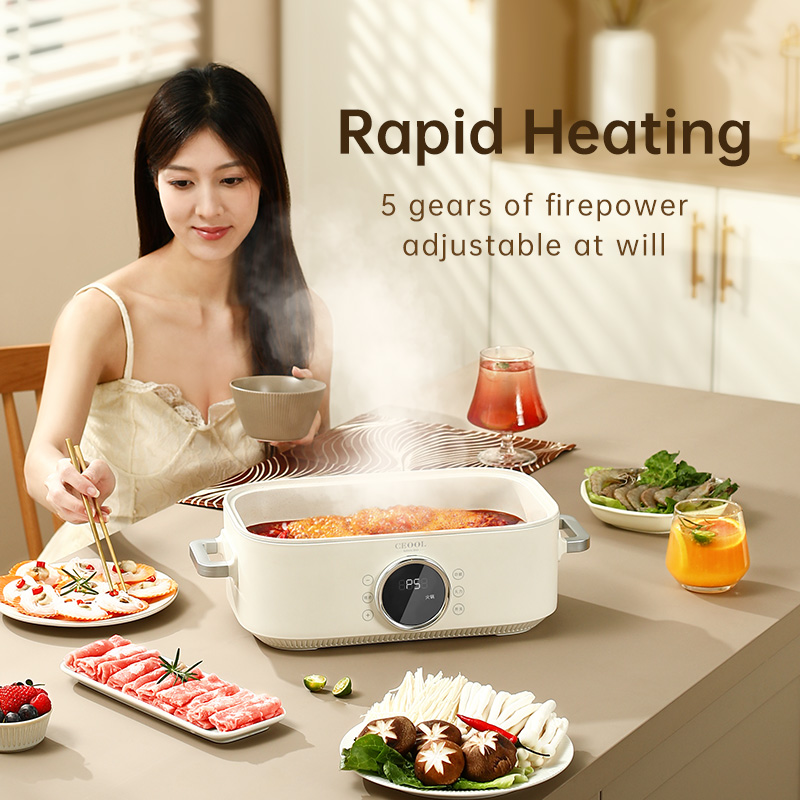 10L 3-in-1 Electric Food Steam – Home Cooking Restaurants recenzja i cena